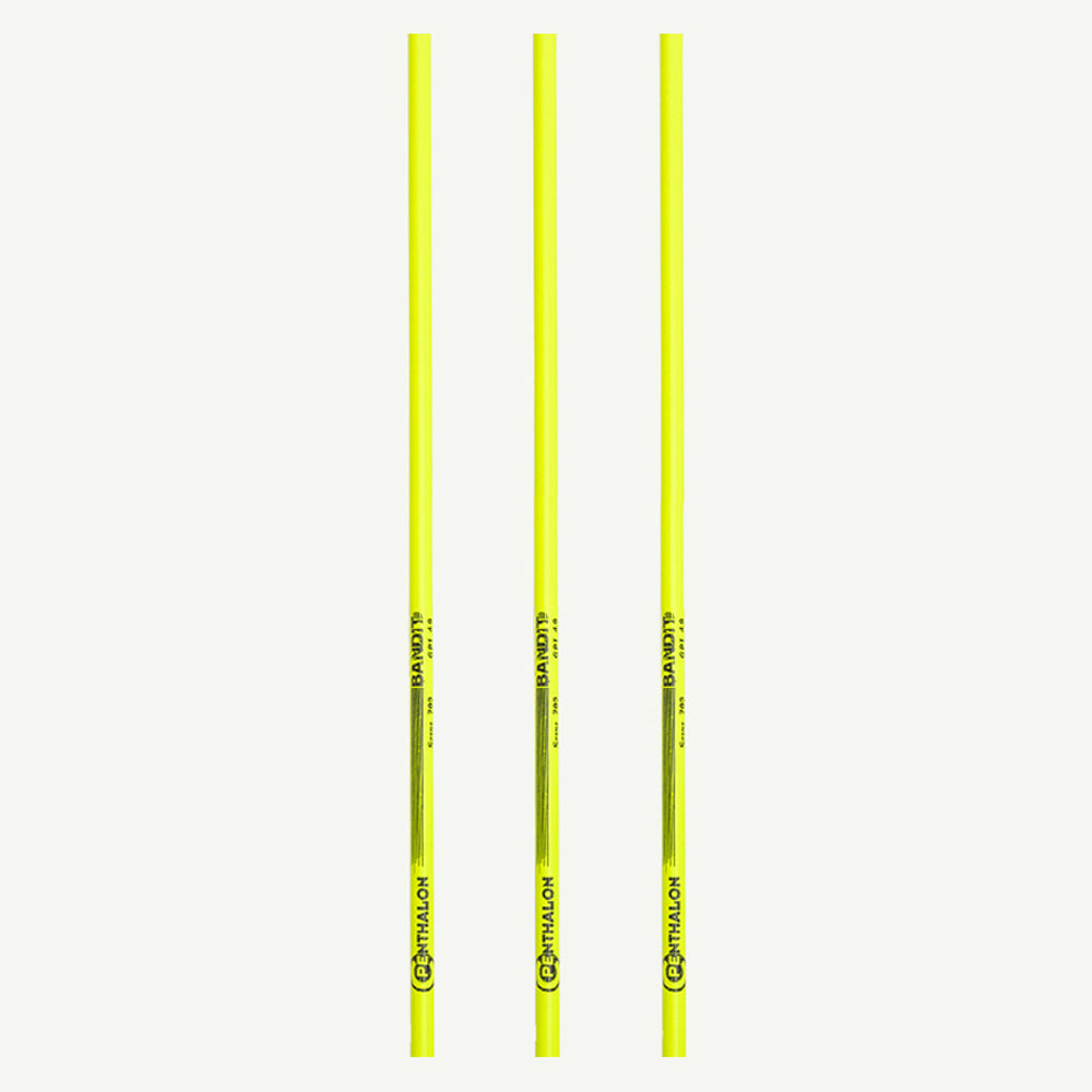 Penthalon Carbonschäfte Bandit Neon