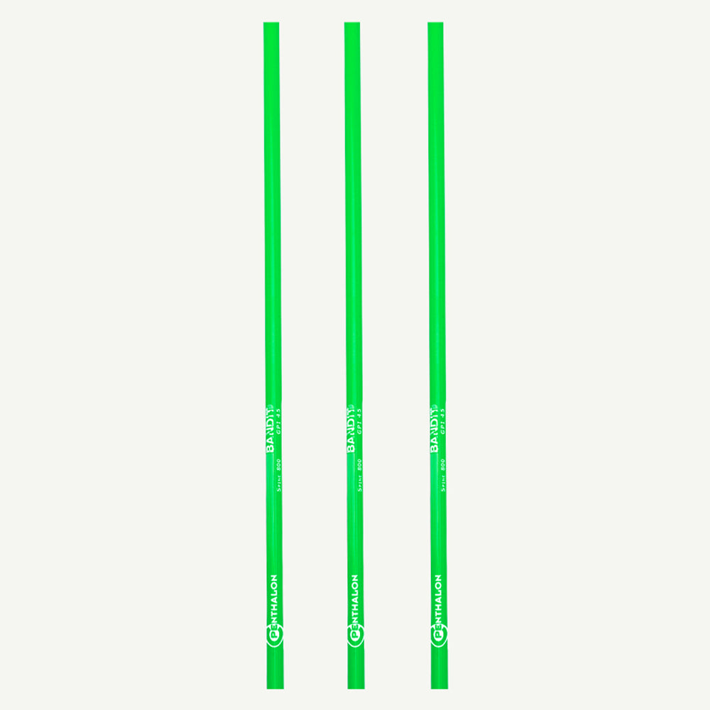Penthalon Carbonschäfte Bandit Neon