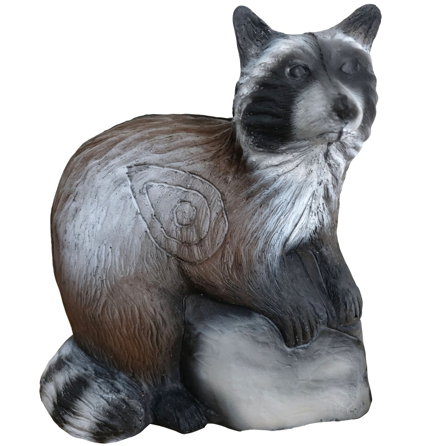 LEITOLD -3D-Ziel Waschbär
