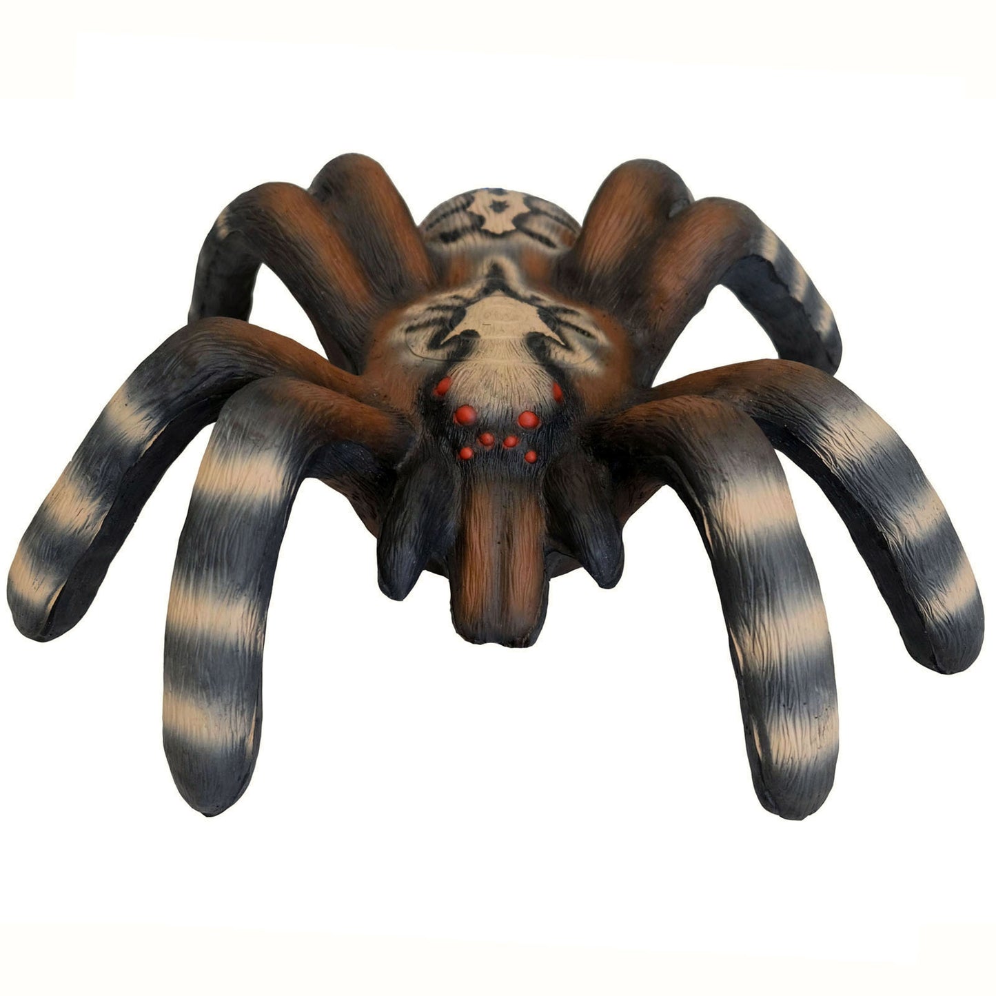 LEITOLD -3D-Ziel Kleine Vogelspinne