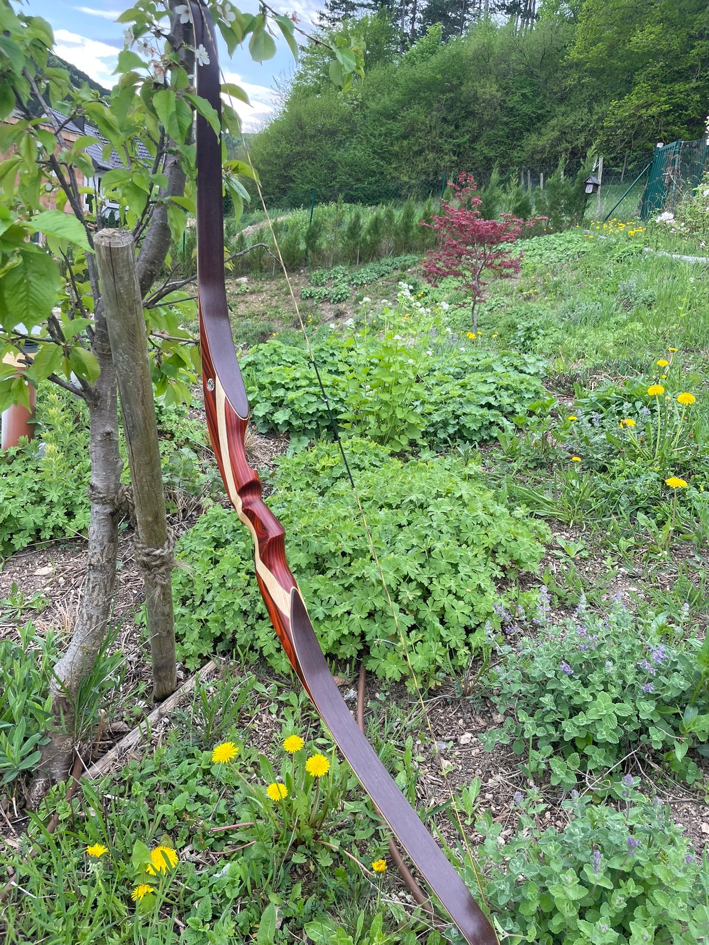 Recurvebogen "DAS VIECH" von Bogenbau Wienerwald