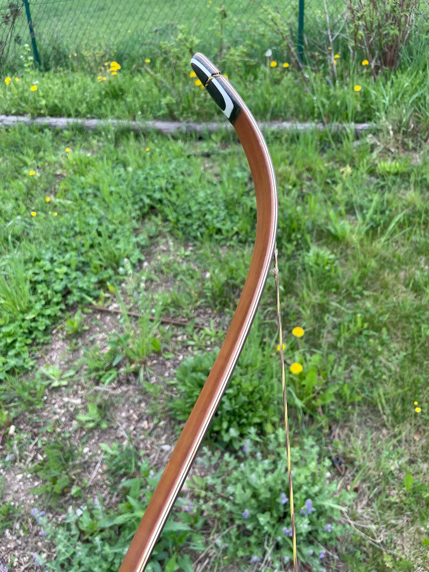 Recurvebogen "DAS VIECH" von Bogenbau Wienerwald