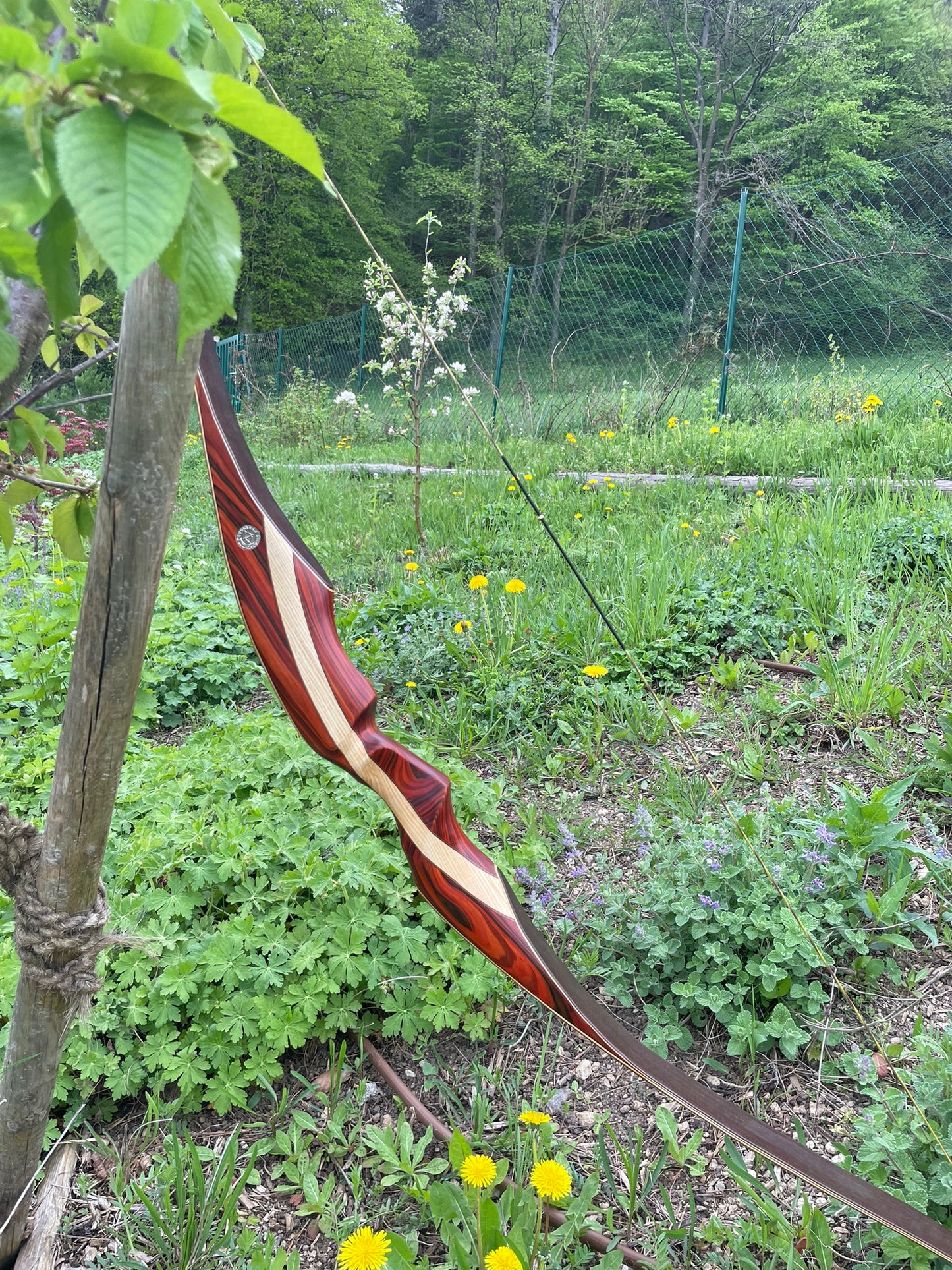 Recurvebogen "DAS VIECH" von Bogenbau Wienerwald