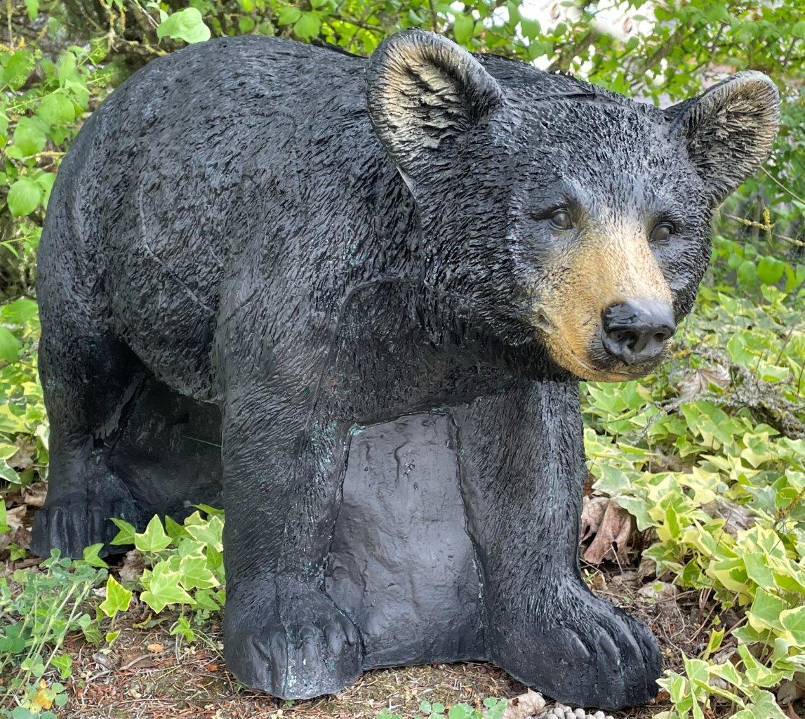 FRANZBOGEN - Honigbär, laufend