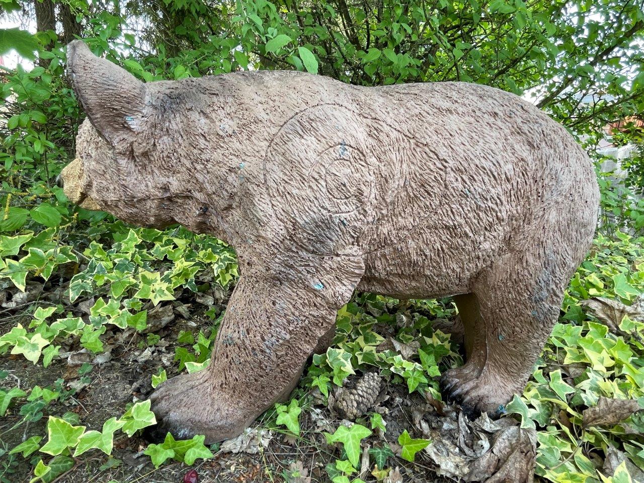 FRANZBOGEN - Honigbär, laufend