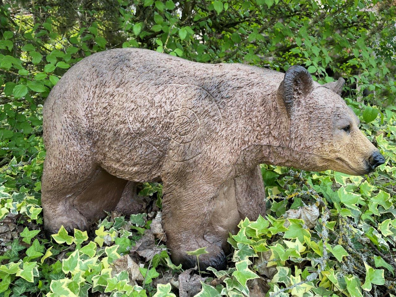 FRANZBOGEN - Honigbär, laufend