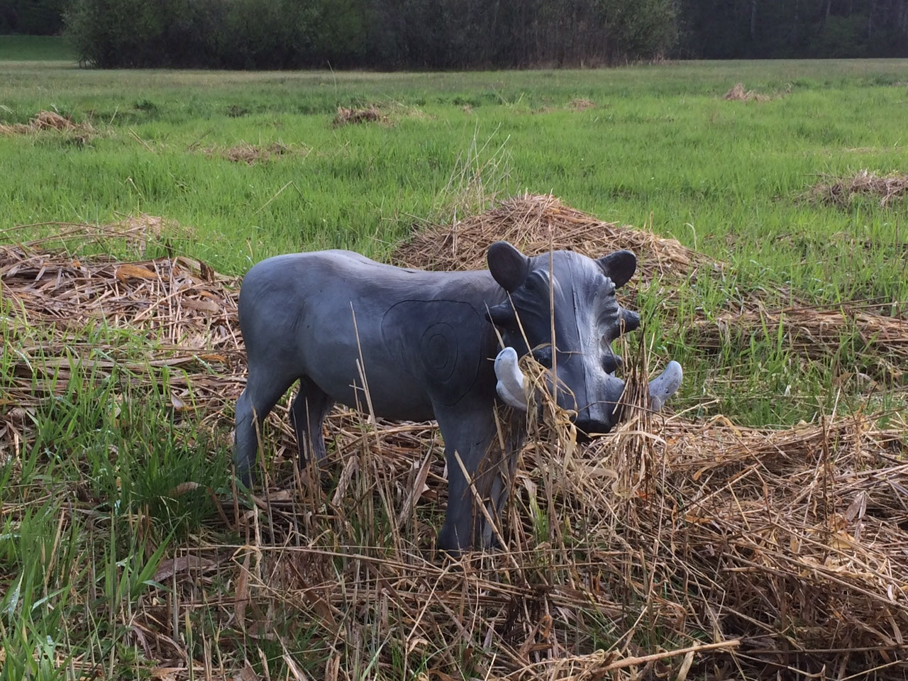 LEITOLD -3D-Ziel Warzenschwein